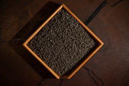 Женьшень улун — энергия гор и мягкость женьшеня