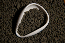 Женьшень улун — энергия гор и мягкость женьшеня