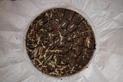 Шу пуэр с белым чаем «Выпей пуэра — взлети над суетой» — мягкий купаж Мэнхай + Бай Хао Инь Чжень