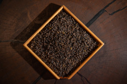 Чай улун Дун Дин