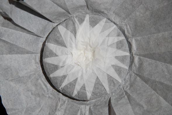 Шен пуэр Бермуды Иу 2021 — купить зелёный пуэр с мёдом и липой