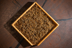 Красный чай «Золотые нити» (Дянь Хун из почек)